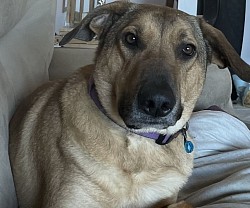 Riley