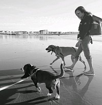 Wellness and Health advice, direct primary care, longevity, yogo, pet fun