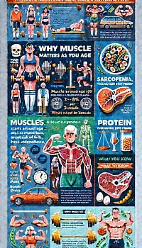 Muscle, aging, protien, muscle loss and aging